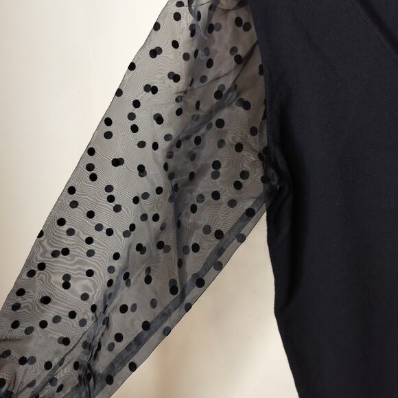 Ophelia Row Sweater Sheer Polka Dot Sleeve V Neck - Picture 6 of 8
